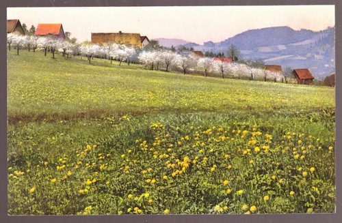   Ansichtskarte. AK Frühling im böhmischen Mittelgebirge. Bei Babina (Photocromie) 