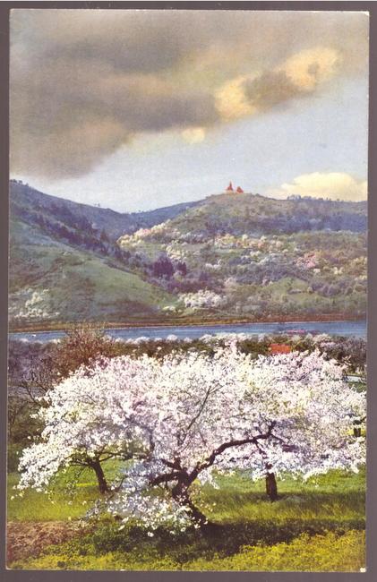   Ansichtskarte. AK Frühling im böhmischen Mittelgebirge. Bei Zirkowitz (Photocromie) 