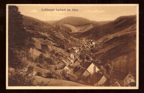   Ansichtskarte Luftkurort Lerbach im Harz 