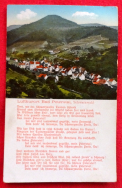   Ansichtskarte AK Luftkurort Bad Peterstal, Schwarzwald (mit Gedicht) 