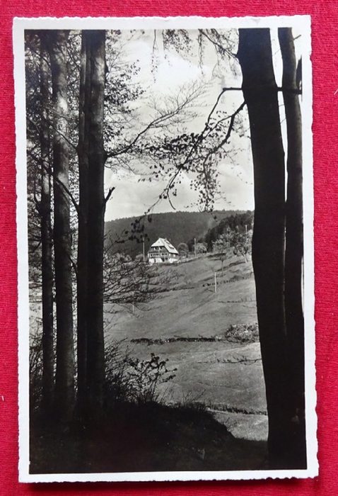   Ansichtskarte AK Wanderheim des Schwarzwaldvereins Karlsruhe im Gaistal bei Herrenalb 580m 