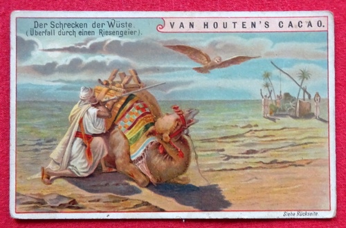   Reklamebild / Kaufmannsbild / Sammelbild Van Houten's Cacao (Der Schrecken der Wüste. Überfall durch einen Riesengeier) 