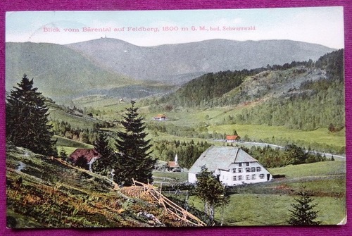   Ansichtskarte AK Blick vom Bärental auf Feldberg, 1500 m.ü.M., bad. Schwarzwald 