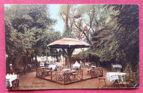   Ansichtskarte AK Ziegenhals (heute Glucholazy). Garten des Hotel Anker (Stempel Ziegenhals) 