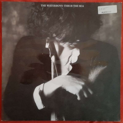 The Waterboys  This is the Sea LP 33 U/min. Promo mit Beilage 
