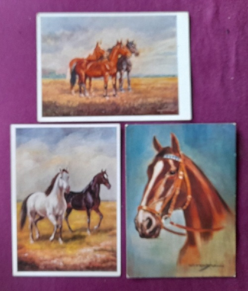 Friedmann, Hans  3 AK Ansichtskarten Hans Friedmann (Zwei Pferde auf der Koppel, Unser Brauner im Geschirr, Auf der Weide) 