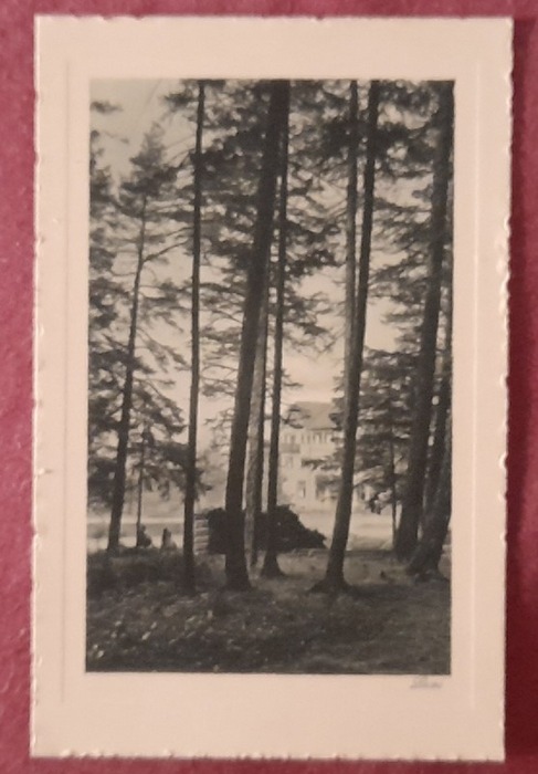   Ansichtskarte AK Hallwangen. Kurhaus "Grüner Baum". Besitzer Wilhelm Sailer 