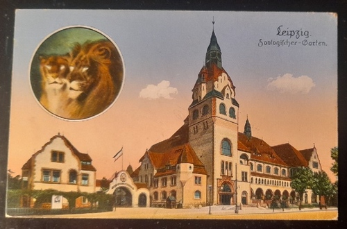   Ansichtskarte AK Leipzig. Zoologischer Garten + Löwen 