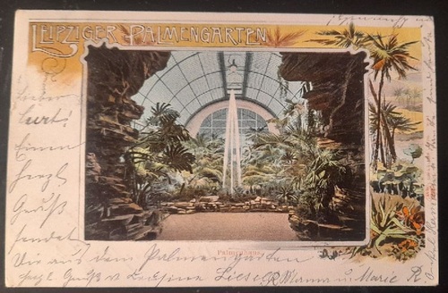   Ansichtskarte AK Leipzig. Leipziger Palmengarten. Palmenhaus (Farblitho. Stempel Leipzig-Lindenau und Freiberg) 