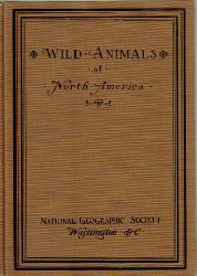 Nelson, Edward William  Wild animals of North America (Intimate studies of big and little creatures of the mammal kingdom) 