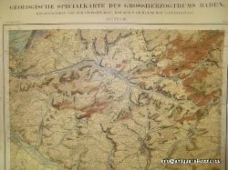 Grossherzoglich-Badischen, Geologischen Landesanstalt (Hg.)  Geologische Specialkarte des Grossherzogthums Baden (Blatt Odenheim) 