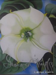 O`Keeffe, Georgia  Blumen 