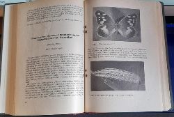Schrder, Heinz Dr.,  Entomologische Zeitschrift (Schmetterlinge) 