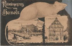 ohne Autor  Ansichtskarte Rattenfngergruss aus Hameln (Originelle Karte seitlich angefressen (so original) 