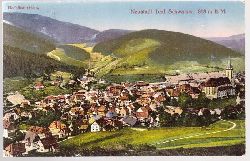   Ansichtskarte Neustadt badischer Schwarzwald mit Hochfirst 