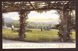   Ansichtskarte AK Baden-Baden. Im Schlossgarten (Litho) 