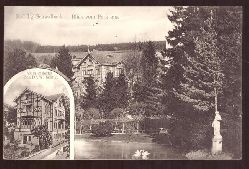   Ansichtskarte AK Schwabach. Blick vom Park aus. Villa Zillertal Bes. Dr. Wilhelmy 