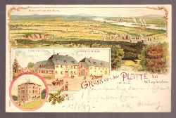   Ansichtskarte Wiesbaden. Gruss von der Platte. Litho (3 Motive. Aussicht, Restauration Gasthof und Pension, Jagdschloss) 