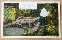   Ansichtskarte AK Krokodile greifen Dunkelhutigen Mann an (mit Spruch, Stogebet in Englisch) 