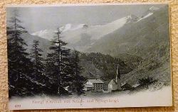   Ansichtskarte AK Gurgl (tzthal) mit Schaf- und Spiegelkogl 