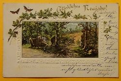   Ansichtskarte AK Nrnberg-Schmausenbuck (Farblitho) (Glckliches Neues Jahr) 
