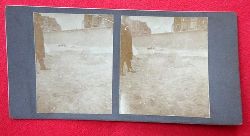   Original Stereoskopie.-Fotografie (Stereobild. Stereophotographie). Middelkerke 1908. Sphinx aus Sand 