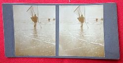   Original Stereoskopie.-Fotografie (Stereobild. Stereophotographie). Ostende 1908. Crevettenfischer 