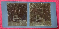   Original Stereoskopie-Fotografie (Stereobild. Stereophotographie). St. Blasien 1913. Waldkreuz 