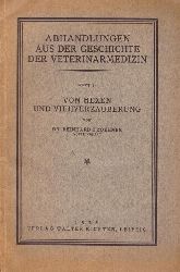Froehner, Reinhard Dr.  Von Hexen und Viehverzauberung 