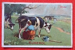   Reklamebild /  Kaufmannsbild / Sammelbild / Kaufmannsbild KUNEROL (hier Kunerona Margarine) (3 Bilder der Reihe "Rinder" Nr. 1 Hausrind) 