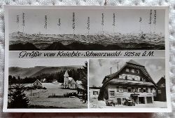   Ansichtskarte AK Gre vom Kniebis Schwarzwald 