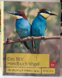 Bezzel, Einhard  Das BLV-Handbuch Vgel (Alle Brutvgel Mitteleuropas) 