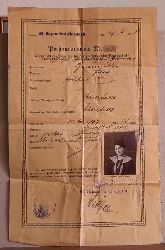 Bienmller, Julie  Personalausweis Nr. 1181 ausgestellt als Paersatz fr den Aufenthalt im Reichsgebiete (handschriftlich ergnzt) einschlielich der besetzten Gebiete 