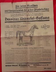 Dresdner Universal-Balsam  Werbeblatt "Fr jeden Menschen und hauptschlich fr jeden Pferdebesitzer.... Dresdner Universal-Balsam" 