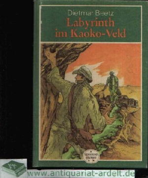 Beetz, Dietmar:  Labyrinth im Kaoko-Veld 