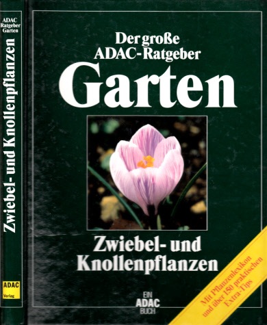 Autorengruppe;  Der große ADAC-Ratgeber Garten - Zwiebel- und Knollenpflanzen 