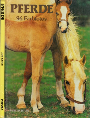 Burton, Jane;  Pferde 26 Farbfotos 