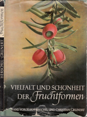 Herschel, Kurt und Christian Grunert;  Vielfalt und Schönheit der Fruchtformen Ein Bildhand mit 99 Aufnahmen 