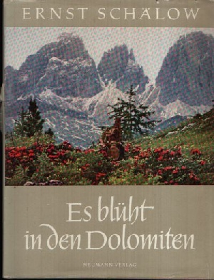Schölow, Ernst:  Es blüht in den Dolomiten Mit Federzeichnungen von Kurt Schulze 