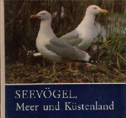 Schnert, Claus:  Seevgel, Meer und Kstenland 