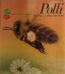 Dngel- Gilles, Lieselotte:  Polli -   Ein Tag im Leben einer Biene Illustrationen von Dieter Mller 