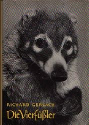 Gerlach, Richard:  Die Vierfler 