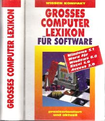 Lukas, Anja und Theresia Nst;  Grosses Computer-Lexikon 