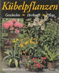 Encke, Fritz;  Kübelpflanzen - Geschichte, Herkunft, Pflege 75 Farbfotos und 18 Zeichnungen 