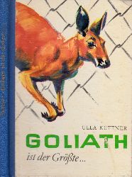 Küttner, Ulla;  Goliath ist der Größte KNABES JUGENDBÜCHEREI - Illustrationen und Umsdüagentwurf von Reiner Zieger 