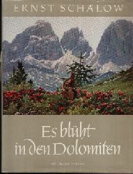 Schlow, Ernst:  Es blht in den Dolomiten Mit Federzeichnungen von Kurt Schulze 