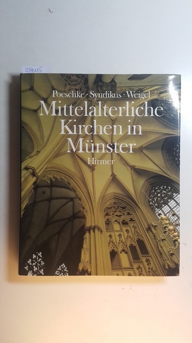 Poeschke, Joachim ; Brüdern, Jutta  Mittelalterliche Kirchen in Münster 