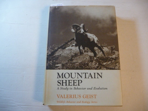 Geist, Valerius  Mountain sheep : a study in behaviour and evolution 