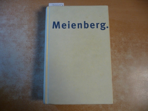 Marianne Fehr  Meienberg: Lebensgeschichte eines Schweizer Journalisten und Schriftstellers 