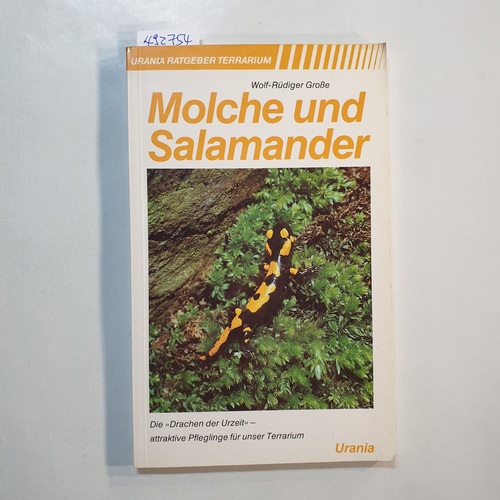 Große, Wolf-Rüdiger  Molche und Salamander : [die "Drachen der Urzeit" - attraktive Pfleglinge für unser Terrarium] 